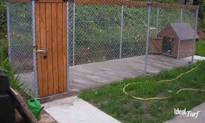 dog run ideas definitive guide to