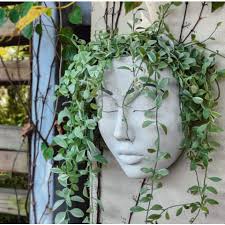 Buy Whole China Face Planters Wall