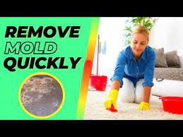 how to clean mold from carpet natural