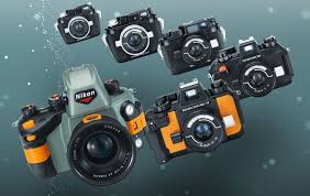 Best Cheap Underwater Cameras For Great Underwater Photos The Snorkel Store