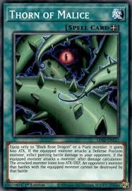 She's able to deal high damage to just about any enemy, even against tanks. Yugioh Black Rose Dragon Price Novocom Top