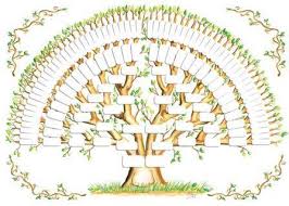 Step By Step Guide To Create A Family Tree Online Threeroses Us