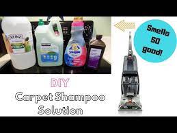 diy carpet cleaning solution