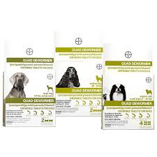 Bayer Quad Dewormer Chewable Tablets For Dogs 1800petmeds