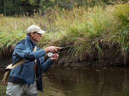 Fishing seatboxes, long poles and feeder tips, fishing tutorials , workshops. Fishing On The Frontier Part 52 Sumava Fish Fly