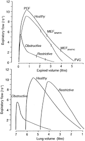 Lung Volumes And Forced Ventilatory Flows European
