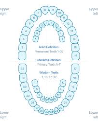 Dental Terms Online Dentist Consultation Emergency