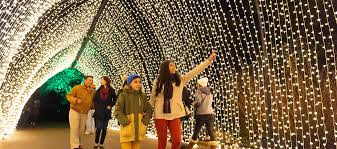 best spots for christmas lights in