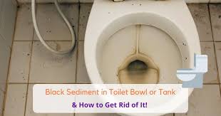 Black Sediment In Toilet Bowl Tank
