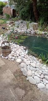 Wildlife Pond With Beautiful Stone