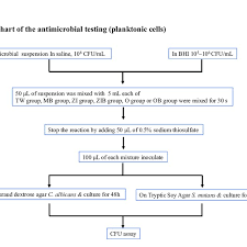 Flow Chart Of The Antimicrobial Testing Planktonic Cells
