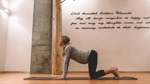 Theres cat pose (marjaryasana) and cow pose (bitilasana). Stretching Sequence For Beginners Or Pregnancy The Freckle Spot