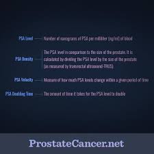 What Is The Psa Test Prostatecancer Net