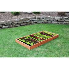 9 steps to a healthy vegetable garden
