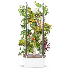 7 Best Indoor Gardening Systems To