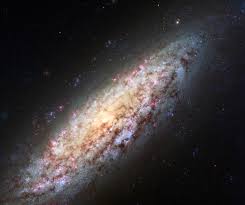 Mirando profundamente en el universo, el telescopio espacial hubble capta un vistazo de las numerosas estructuras en los brazos que se extienden alrededor de esta. Ngc 6503 Sciencesprings