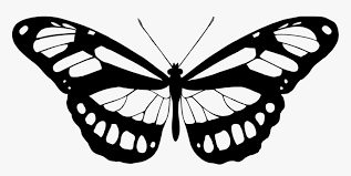 Thousands iconspng.com users have previously viewed this image, from vectors free collection on iconspng.com. Transparent Butterfly Clipart Png Black And White Butterfly White And Black Png Download Transparent Png Image Pngitem