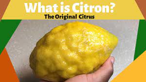Amazon's choice for candied citron. What Is Citron The Original Citrus Youtube