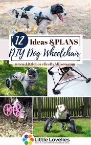 diy dog wheelchair plans you can build