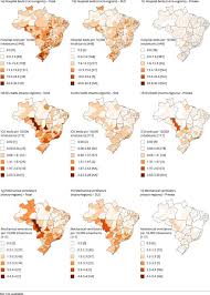 Pandemia Por Covid 19 No Brasil