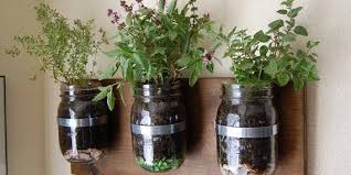Diy Mason Jar Herb Garden The Zero