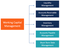 Working Capital Management Overview