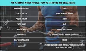 6 month workout plan to get ripped and