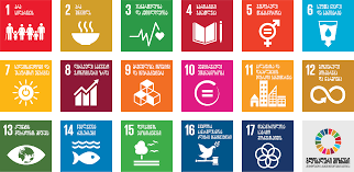 sustainable development goals important
