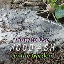 Maybe you would like to learn more about one of these? How To Use Wood Ashes In The Garden Home Grown Fun