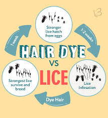 Does dying your hair get rid of lice and nits? Does Hair Dye Kill Lice Nits And Eggs Detailed Guide Beezzly