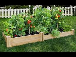 Design Greenes Raised Garden Bed