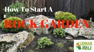 how to start a rock garden urbanmali