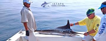 The 5 Best Zihuatanejo Fishing Charters Tours With Photos