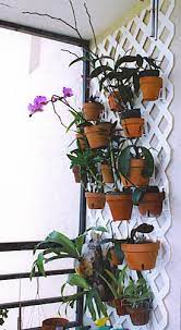Wall Hanging Flower Pots