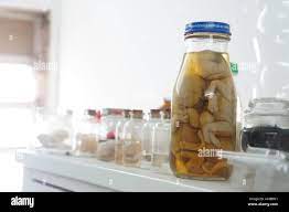 Wet specimen hi-res stock photography and images - Alamy
