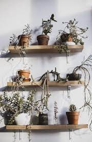 15 Outdoor Garden Shelves Ideas Happy