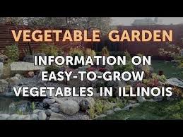 Grow Vegetables In Illinois