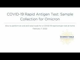 covid 19 testing and test results hpeph