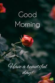 See more ideas about good morning, good morning beautiful, good morning greetings. Uplifting Good Morning Images Time To Start The Day
