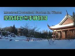 4k montreal botanical garden in winter