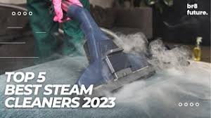 best steam cleaners 2023 deep clean