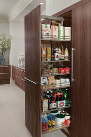 tall pull out pantry modern kitchen