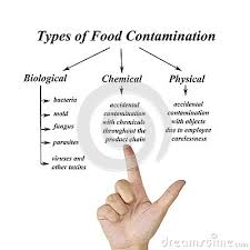 Physical, biological, chemical and allergenic. Types Of Food Contamination Image For Use In Manufacturing