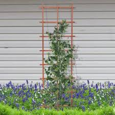 Gallery of free standing wall panels. 10 Best Garden Trellis Ideas In 2021 Hgtv