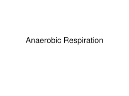 Ppt Anaerobic Respiration Powerpoint