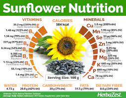 sunflower seeds kernels without s