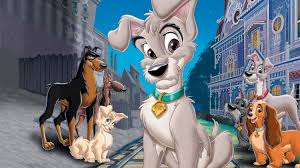 Seeking the freedom to be a wild dog, one of their kids runs away to join a. Watch Lady And The Tramp Ii Scamp S Adventure Palestine Osn