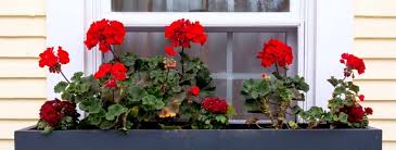 Plant with the flowers you love for custom vinyl window boxes. Installing Window Boxes On Vinyl Siding Windowbox Com Blog