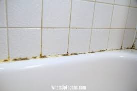 mold in shower grout archives