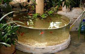 Swimming Pool In The Winter Garden